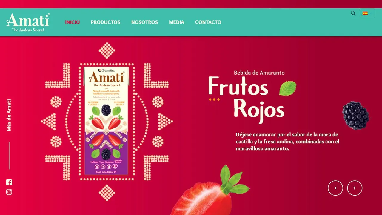 Amati Foods